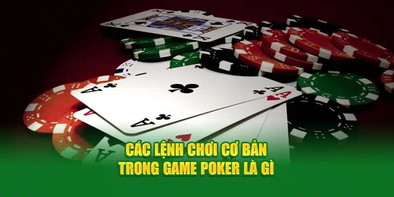 Các lệnh chơi cơ bản trong game Poker là gì