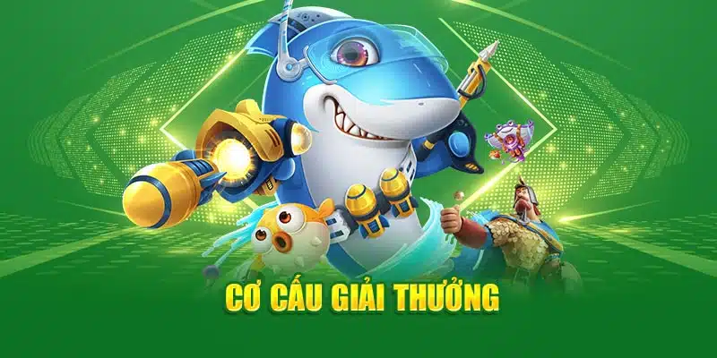 Cơ cấu giải thưởng