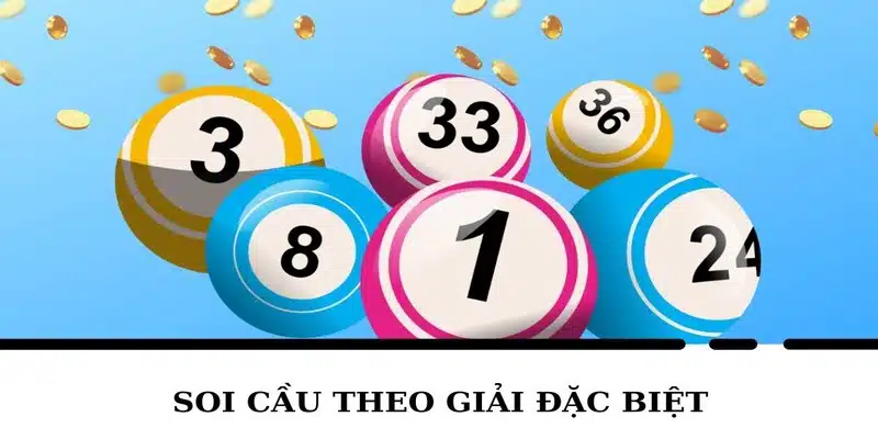 Dựa vào giải đặc biệt là quyết định sáng suốt