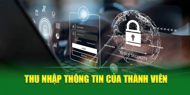 Thu nhập thông tin của thành viên