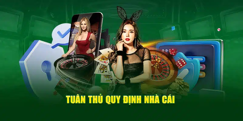 Tuân thủ quy định nhà cái